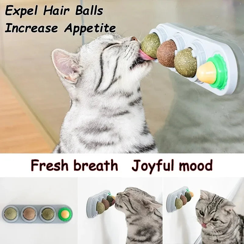 4-in-1 Catnip, Silvervine & Gall Nut + cat sugar stick on Wall Toy