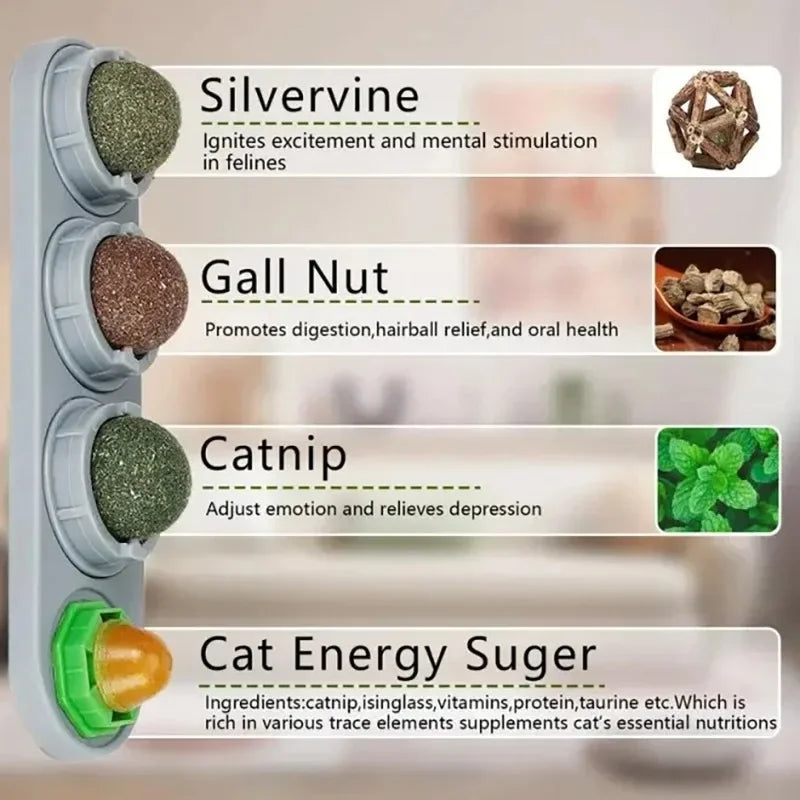 4-in-1 Catnip, Silvervine & Gall Nut + cat sugar stick on Wall Toy