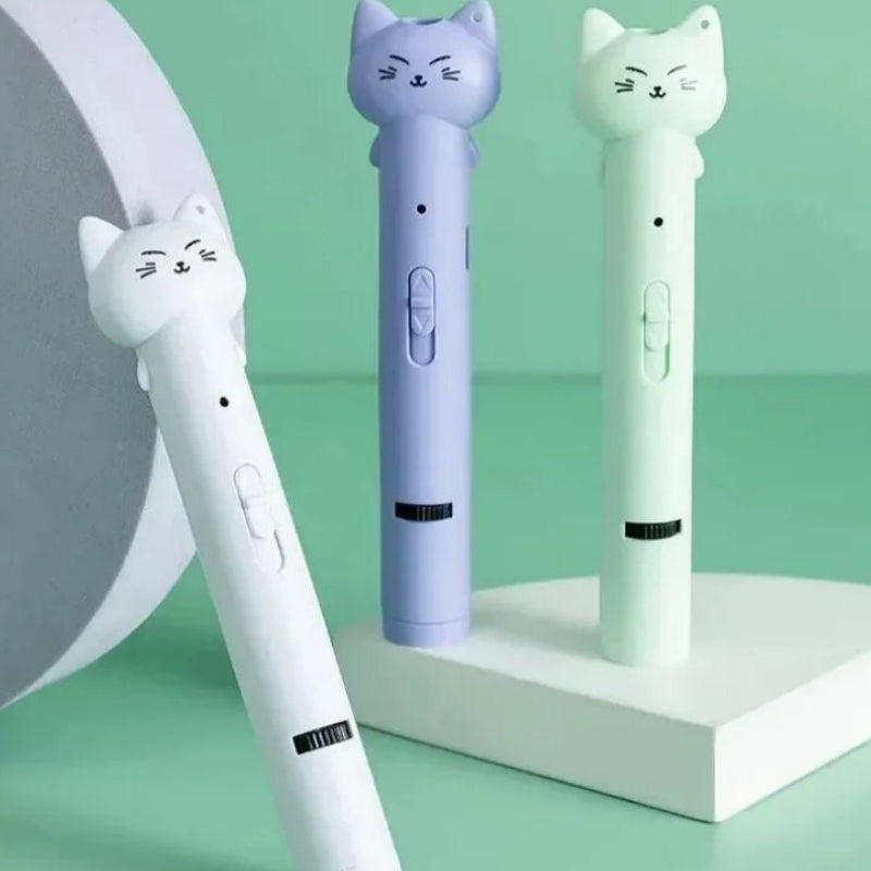 USB Charging CatLaser