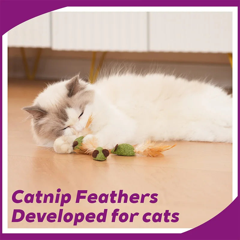 Catnip Mouse Toys With Feathers - 10 Pack