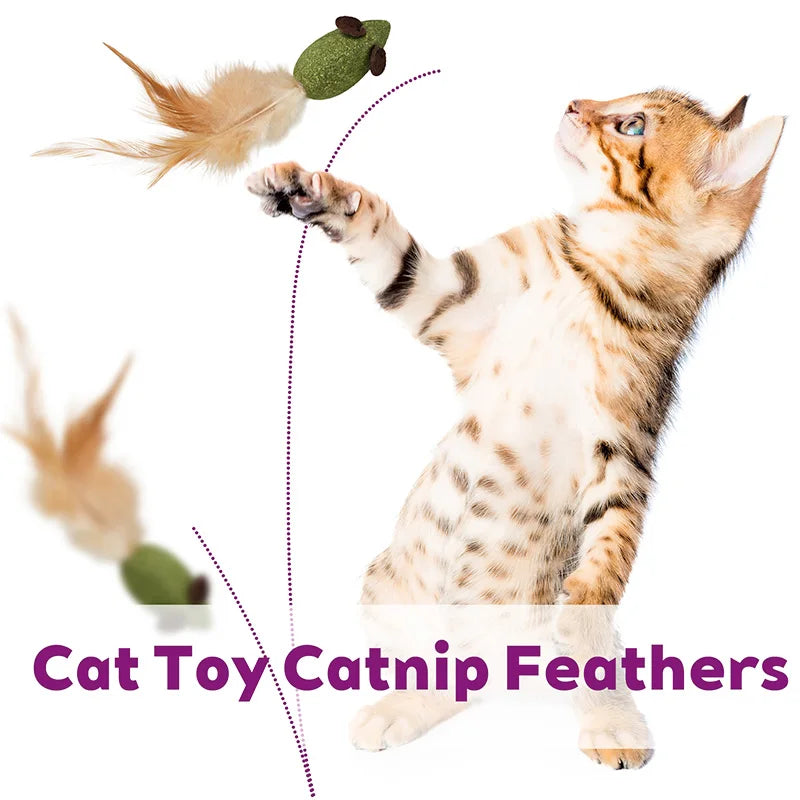 Catnip Mouse Toys With Feathers - 10 Pack