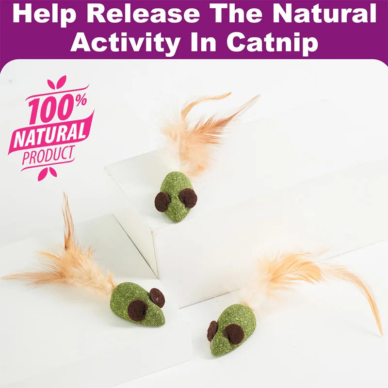 Catnip Mouse Toys With Feathers - 10 Pack