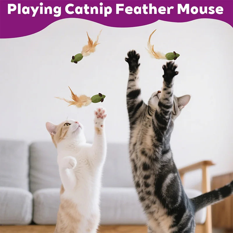 Catnip Mouse Toys With Feathers - 10 Pack