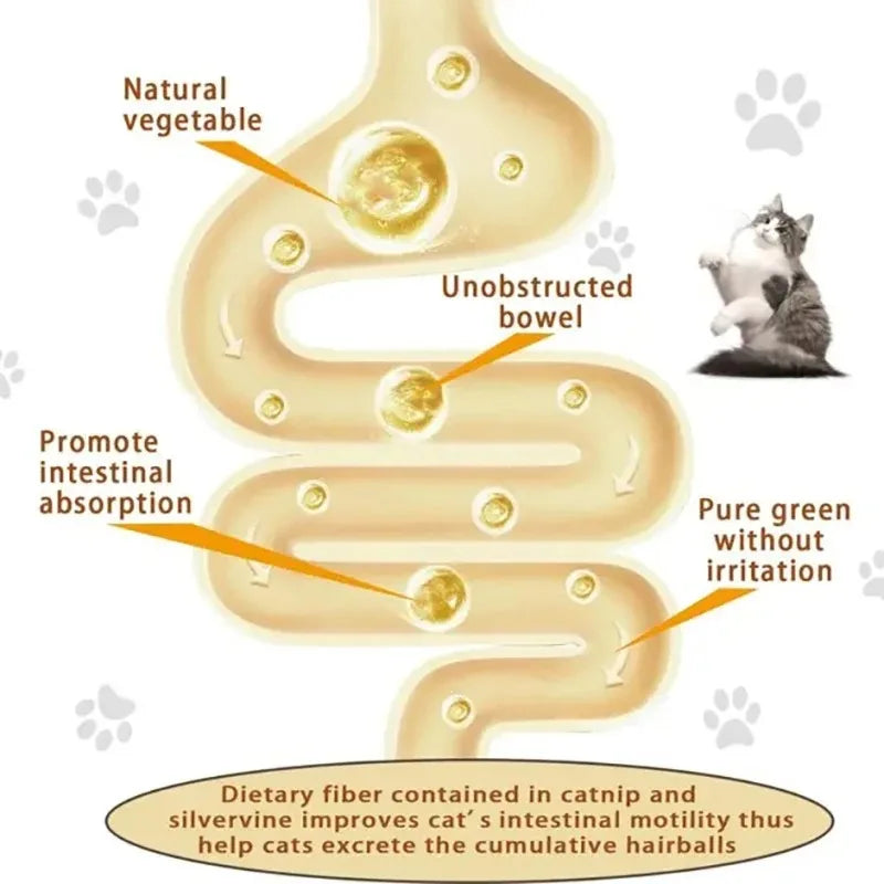 4-in-1 Catnip, Silvervine & Gall Nut + cat sugar stick on Wall Toy