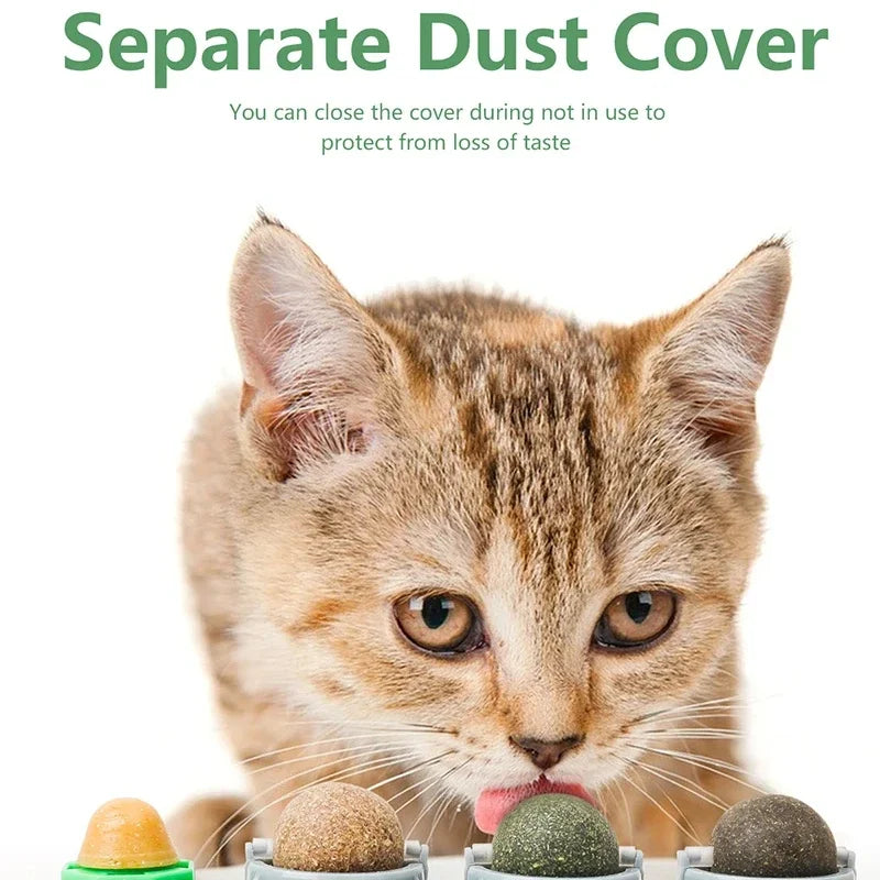 4-in-1 Catnip, Silvervine & Gall Nut + cat sugar stick on Wall Toy