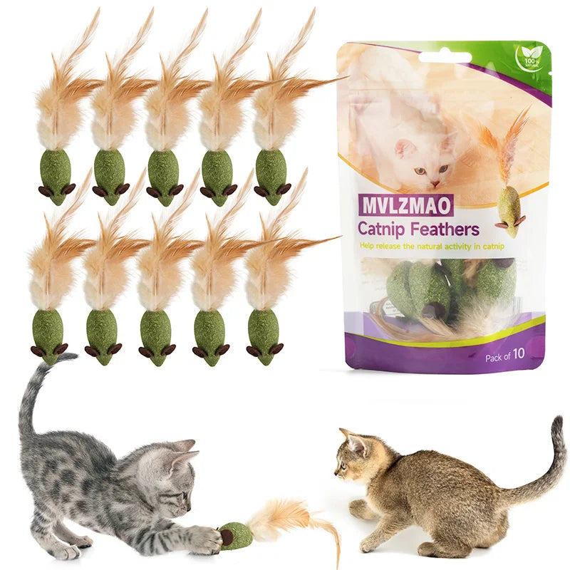 Catnip Mouse Toys With Feathers - 10 Pack