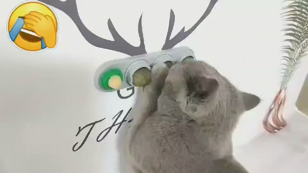 4-in-1 Catnip, Silvervine & Gall Nut + cat sugar stick on Wall Toy