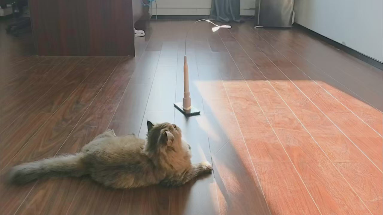 Electric Flying Butterfly Cat Teaser